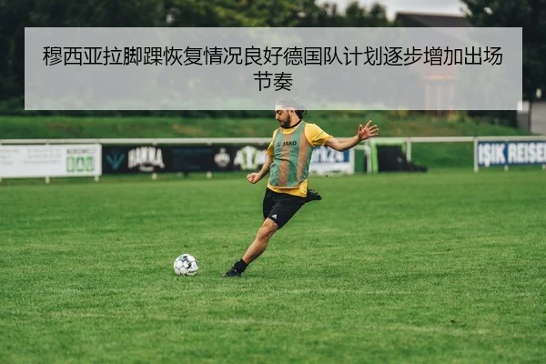 穆西亚拉脚踝恢复情况良好德国队计划逐步增加出场节奏
